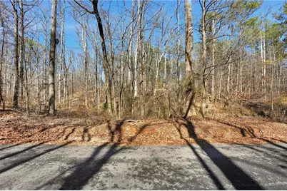 0 Pickett Bridge Road, Covington, GA 30016 - Photo 10