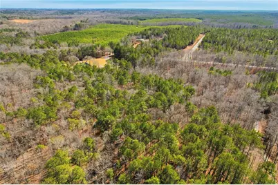 0 Pickett Bridge Road, Covington, GA 30016 - Photo 8