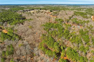 0 Pickett Bridge Rd, Covington, GA 30016 - Photo 1