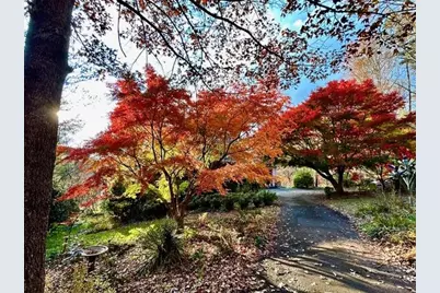 543 Martins Grove Road, Dahlonega, GA 30533 - Photo 46