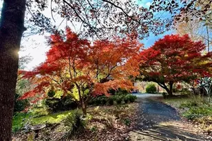 543 Martins Grove Rd, Dahlonega, GA 30533 - Photo 46