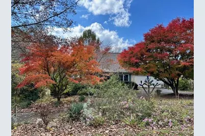 543 Martins Grove Road, Dahlonega, GA 30533 - Photo 50