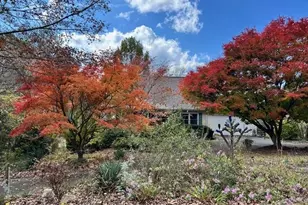 543 Martins Grove Rd, Dahlonega, GA 30533 - Photo 50