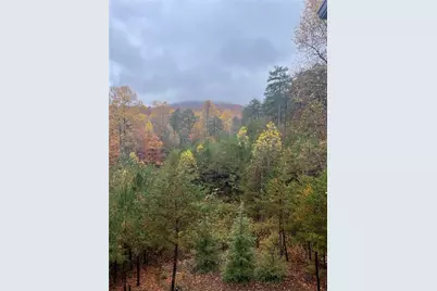 160 Wood Poppy View, Big Canoe, GA 30143 - Photo 60