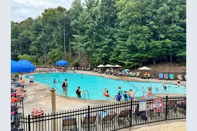 160 Wood Poppy View, Big Canoe, GA 30143 - Photo 82