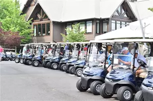 160 Wood Poppy View, Big Canoe, GA 30143 - Photo 86