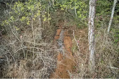 496 John Crow Road, Dahlonega, GA 30533 - Photo 54