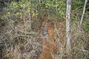 496 John Crow Rd, Dahlonega, GA 30533 - Photo 54