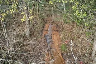 496 John Crow Rd, Dahlonega, GA 30533 - Photo 50