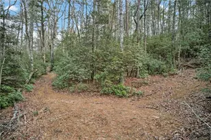 496 John Crow Rd, Dahlonega, GA 30533 - Photo 60