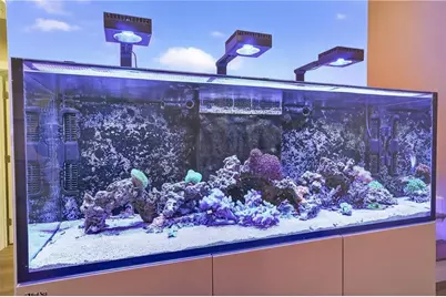 496 John Crow Road, Dahlonega, GA 30533 - Photo 40