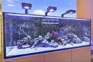 496 John Crow Rd, Dahlonega, GA 30533 - Photo 40