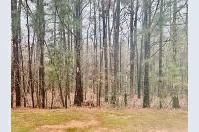 4433 Watson Ridge Drive, Stone Mountain, GA 30083 - Photo 48