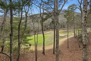 10 Chestnut Knoll Point, Jasper, GA 30143 - Photo 42