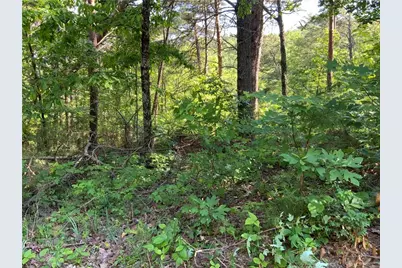 1335 Birch Lane, Ranger, GA 30734 - Photo 2