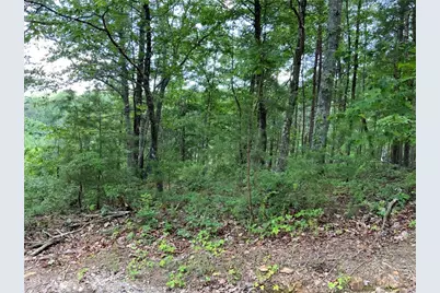 1335 Birch Lane, Ranger, GA 30734 - Photo 8