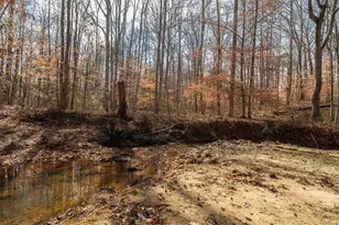 14 Cambridge Ln, Bremen, GA 30110 - Photo 50