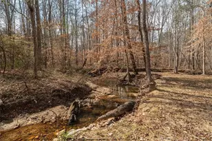 14 Cambridge Ln, Bremen, GA 30110 - Photo 48