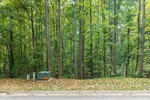 5074 Peach Mountain Cir, Gainesville, GA 30507 - Photo 46