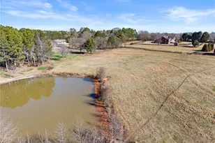 11157 Lewis Braselton Blvd, Braselton, GA 30517 - Photo 100