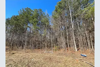 0 Brown Bridge Road, Covington, GA 30014 - Photo 2