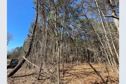 0 Brown Bridge Road, Covington, GA 30014 - Photo 6