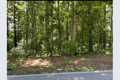 1315 Gaddis Road, Canton, GA 30115 - Photo 8