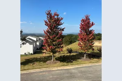 147 Millers Lane, Calhoun, GA 30701 - Photo 6
