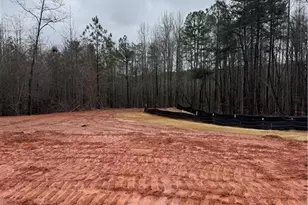 647 Fairview Rd, Pendergrass, GA 30567 - Photo 26