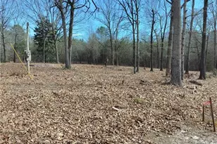 0 Hickory Log Cir, Eastanollee, GA 30538 - Photo 1