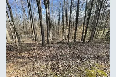 83 Twin Creeks Drive, Bremen, GA 30110 - Photo 12