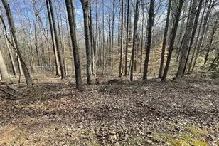 83 Twin Creeks Dr, Bremen, GA 30110 - Photo 12