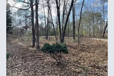 83 Twin Creeks Drive, Bremen, GA 30110 - Photo 14