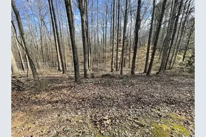 83 Twin Creeks Drive, Bremen, GA 30110 - Photo 12