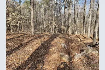 83 Twin Creeks Drive, Bremen, GA 30110 - Photo 4