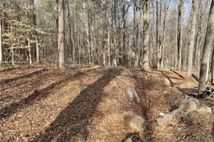 83 Twin Creeks Dr, Bremen, GA 30110 - Photo 4