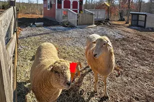 285 Dial Mill Rd, Oxford, GA 30054 - Photo 86