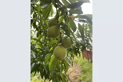 1760 Shire Village Drive, Sugar Hill, GA 30518 - Photo 46