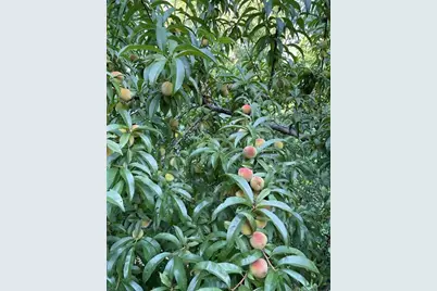 1760 Shire Village Drive, Sugar Hill, GA 30518 - Photo 48