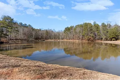 80 Hand Road, Bowdon, GA 30108 - Photo 58