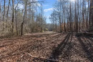 80 Hand Rd, Bowdon, GA 30108 - Photo 82