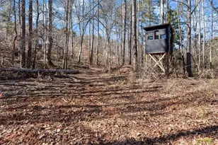 80 Hand Rd, Bowdon, GA 30108 - Photo 80