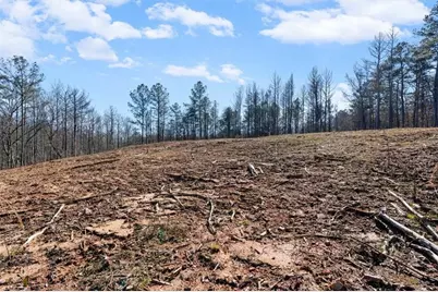 80 Hand Road, Bowdon, GA 30108 - Photo 54