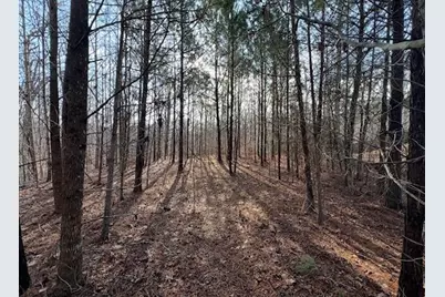 5255 Red Hawk Drive, Gainesville, GA 30507 - Photo 6