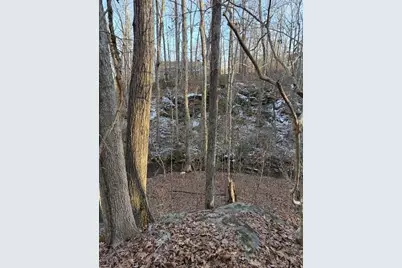 5255 Red Hawk Drive, Gainesville, GA 30507 - Photo 4