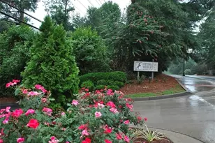 125 Sterling Ct, Alpharetta, GA 30004 - Photo 22