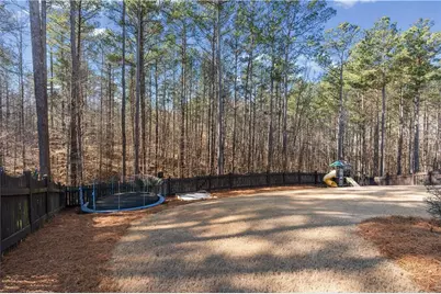 1256 Double Branches Lane, Dallas, GA 30132 - Photo 6