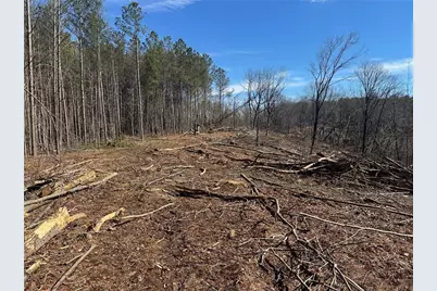 500 Chapman Ridge Lane, Dahlonega, GA 30533 - Photo 10