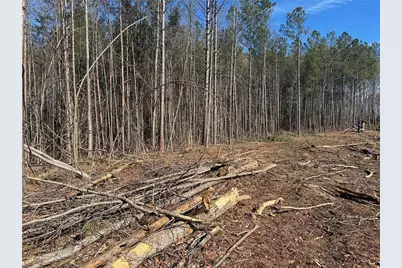 500 Chapman Ridge Lane, Dahlonega, GA 30533 - Photo 12