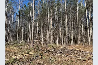 600 Chapman Ridge Lane, Dahlonega, GA 30533 - Photo 14